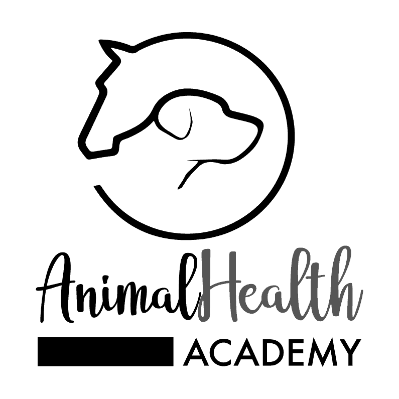 logo-quadrat-transparent